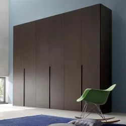 Design Of Hinged Wardrobes In The Living Room