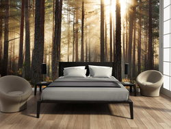 Photo wallpaper with forest in the bedroom interior