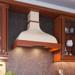 Kitchens with domed hood photo in the interior