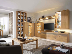 Photos of custom living rooms