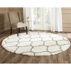 Round Carpet In The Living Room Interior