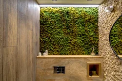 Moss in the bathroom interior