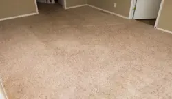 Катэгорыя 