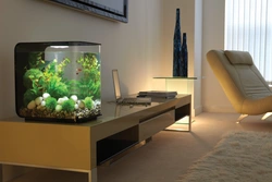 Bedroom interior with aquarium