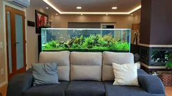 Bedroom interior with aquarium