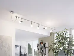 Tracks in the kitchen on a suspended ceiling photo