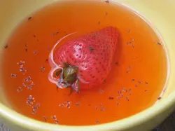 Мошки на кухне фото