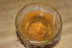 Midges in the kitchen photo