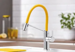 Kitchen faucet with flexible hose photo