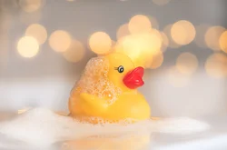 Duck in bath photo