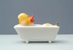 Duck In Bath Photo