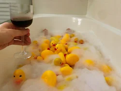 Утка В Ванной Фото