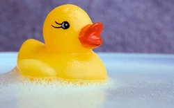 Мурғобӣ дар ванна акс