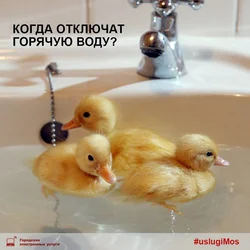 Качаня ў ваннай фота