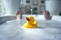 Duckling in the bath photo