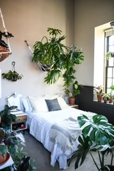 Photos of flowers in the bedroom