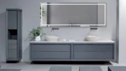 Gray Bathroom Cabinet In The Interior