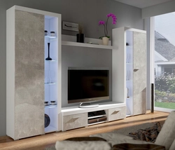 Walls in the living room 5 meters in a modern style photo