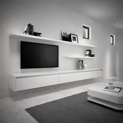 Cabinets In The Living Room Interior Photo