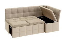 Sofas for the kitchen with a sleeping place in the interior