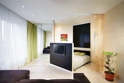 Whole apartment in one room design