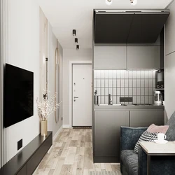 Studio Apartment 30 Sq M With One Window Design