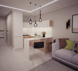 Interior of a studio apartment 18 sq m with kitchen