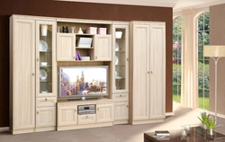 Furniture shatura cabinets in the living room photo