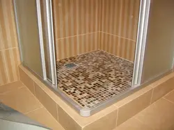 Катэгорыя 