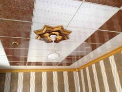 Пластиковый потолок в гостиной фото