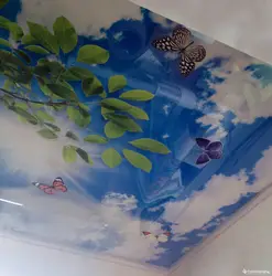 Photo drawings of bathroom ceilings