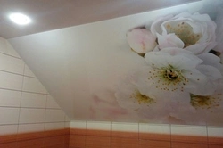 Photo drawings of bathroom ceilings
