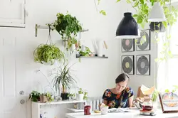 Flowers in the kitchen photo