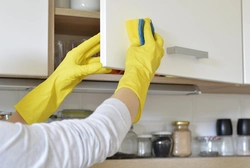 Kitchen cleaning photo