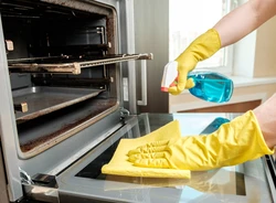 Kitchen cleaning photo