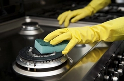 Kitchen cleaning photo