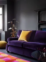 Eggplant color in the living room interior