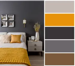 Color palette for walls in an apartment photo