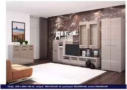 Wenge Wall With White In The Living Room Photo