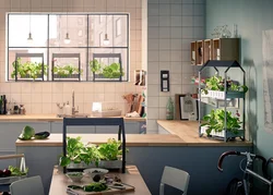 Kitchen Design With Flower On The Wall