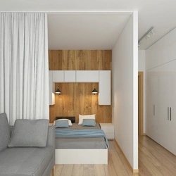 Studio apartment with separate bedroom photo