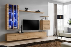 TV fotoşəkili üçün şkaflar oturma otağının divarları