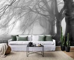 Foggy forest in the bedroom interior