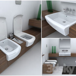 Bathroom design with bidet and toilet