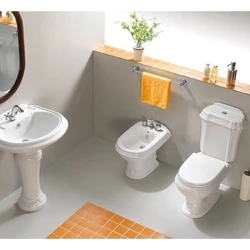 Bathroom design with bidet and toilet