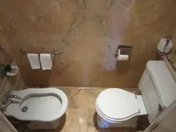 Bathroom Design With Bidet And Toilet