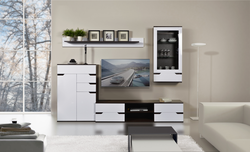 Living room interiors photo mini walls