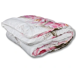 Blanket 2 Bedroom Photo