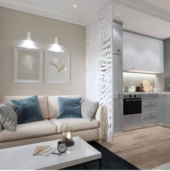 Living Room With Kitchen In Modern Style Photo Rectangular
