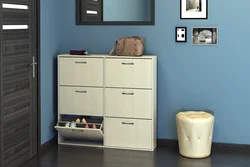 Cabinet in the hallway in the interior